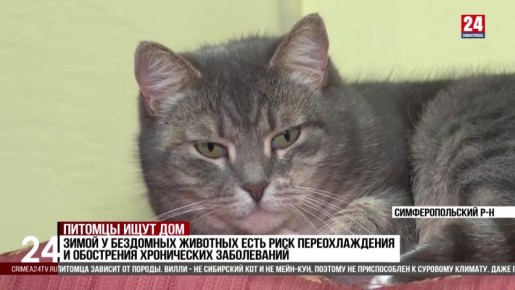 � ������ ������� ���� ������� ����� ����