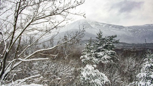 ��������� ����������� � ��� �������: ������ � ����� �� �������