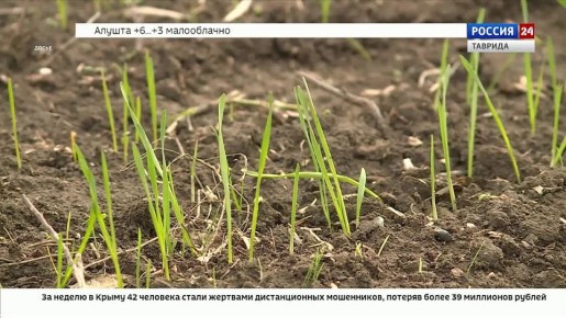 ��������� ������ ����������� �������� �� �������� �������� � ������ ��������