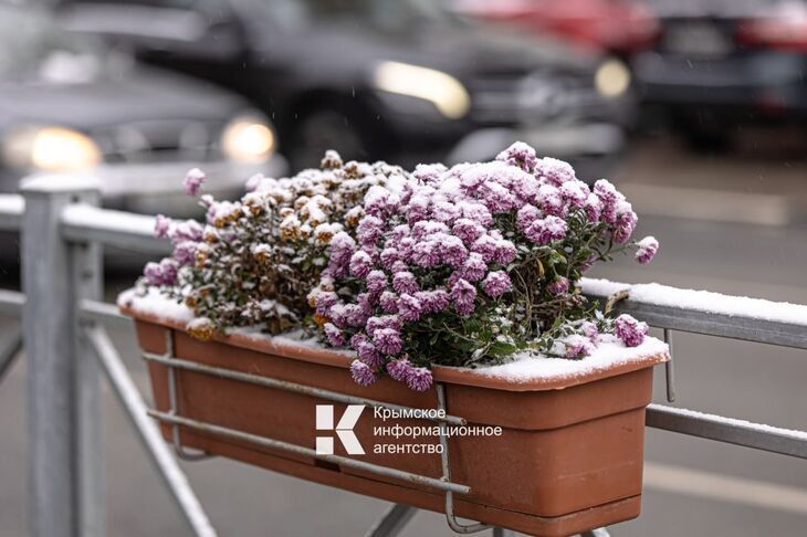 �� -14�� � �������: ����� �������� �� ������� ����� ���� �����