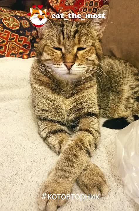 ��� ������: ����� ����� �� ������ � ���������� #�����������