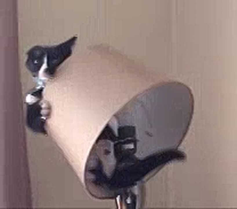 Пять сел под Бахчисараем остались без света из-за аварии