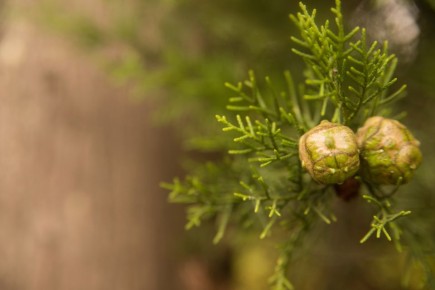 ������������� ����� ��������� ������������� �����