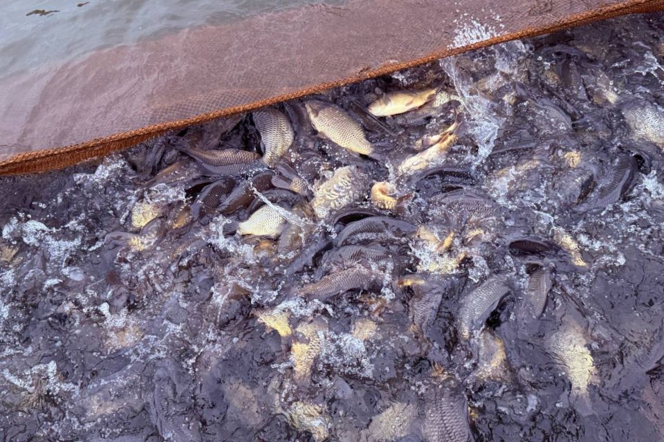 ����� ������: ������������ ����� � ��������� ��������������� ���������