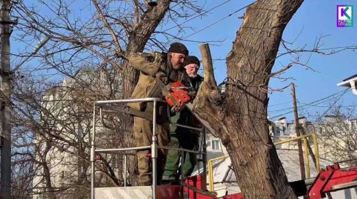 � ����� ������������ �������� ������ �� ����� �� ���������