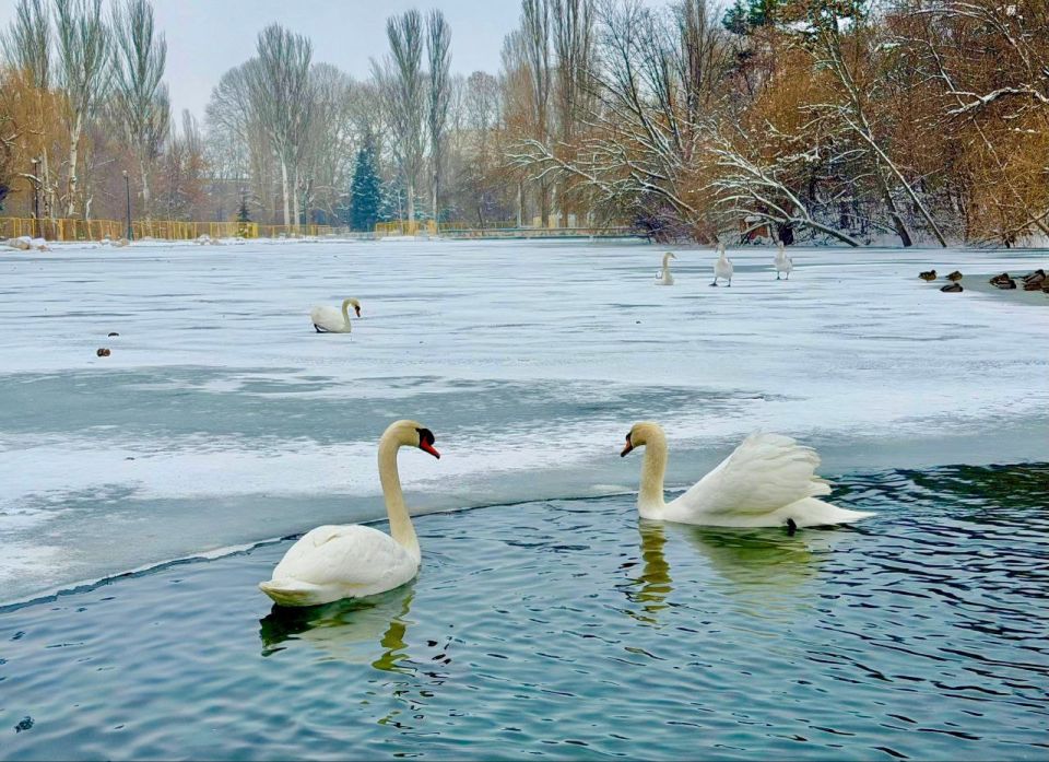 ��� ����� ����� �������� ��������� ������ ������?