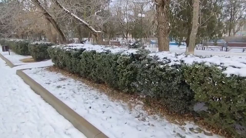 ��������� �����������: ���� ��������� ������� ����! � ��� ��������� ����� ������ ������ ��������� ������������ ��� � ����������� ��� ����������