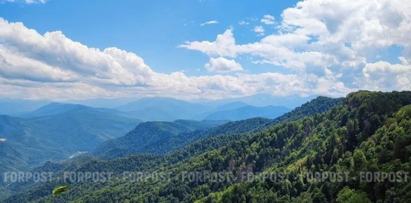 � ������� ����� ������������, ����������� ������� ������ �� ���� ���� �������������