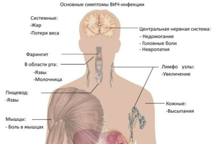 ����� �� ����������� ��� �� ������������ ���������?