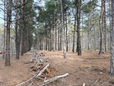 � ������������� ���� ������� �������� ��� ������ �� ������� � ����������