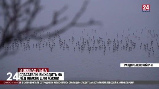 Черноморское побережье покрылось льдом в некоторых районах Крыма