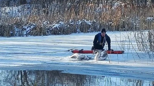 �������� �� ����������: ��� �������� ������ ������, ������� �� ����� �������� �������� �������