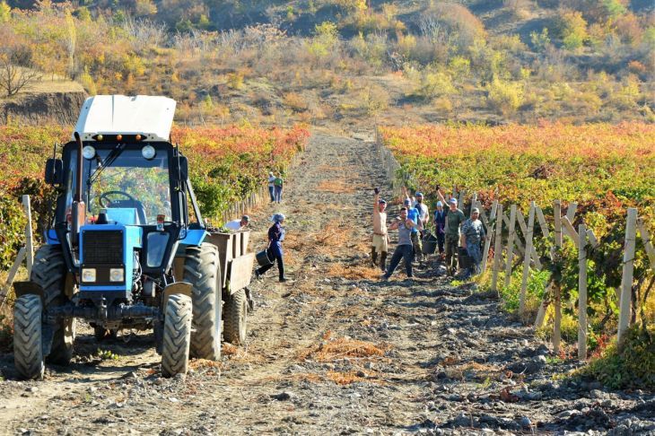 � 2014 ���� � ���������������� �������� ����� ������� 54 ���� ������