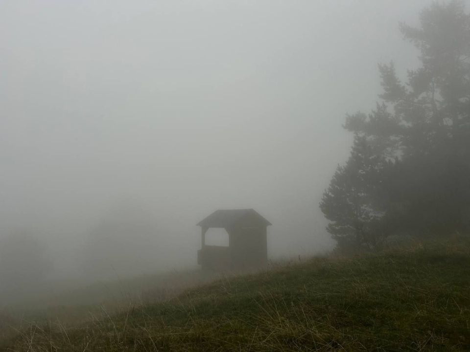 Экстренное предупреждение о неблагоприятных метеоявлениях по г. Симферополю на 22 января 2026 года