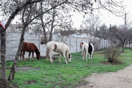 ���������� ������ ��������������� ��������� � ���������������