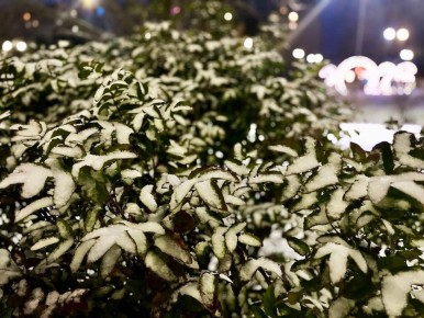 � ������ �����, �������!. ������ ��� � ��� ���� ��������, �������� ������������, ������� � ����� � �������� �������! ����� ������ �������� ������� ��� ���, ������� �������� ��������� � ������� �����! ������� � ��������...