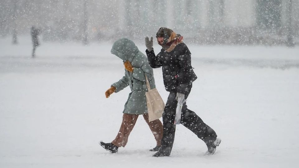 � ����� �� ��� ��� �������� ���������� ��������������