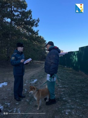 За порядком в севастопольских лесах ежедневно следят специалисты лесничества, МЧС, полиции и казачества
