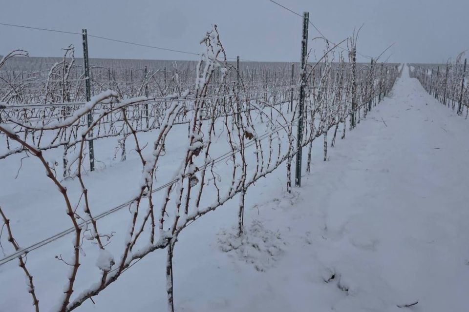 ��� ����� ������������� ������� �������������� �����������������