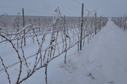 ��� ����� ������������� ������� �������������� �����������������