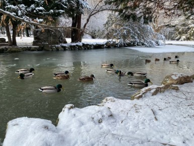 Прогноз погоды в Крыму на 23 января