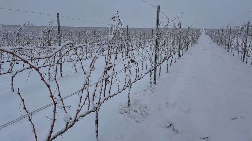 ������, ��� ������ �������� �������� ������ ����������? �� ������ ������ � ����, �� � ���������� ���������� � ���� �������� ���������!