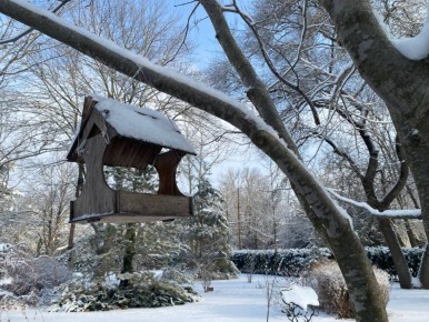 Какая погода ждёт жителей и гостей Крыма 23 января