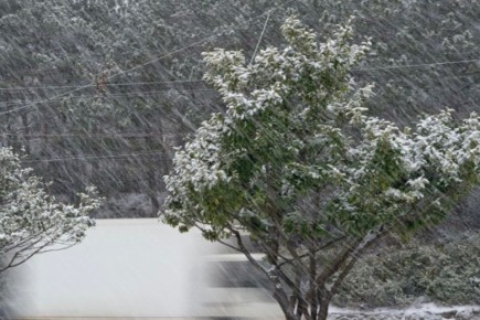 Экстренное предупреждение об опасных гидрометеорологических явлениях по Республике Крым на 23 и 24 января 2026 года