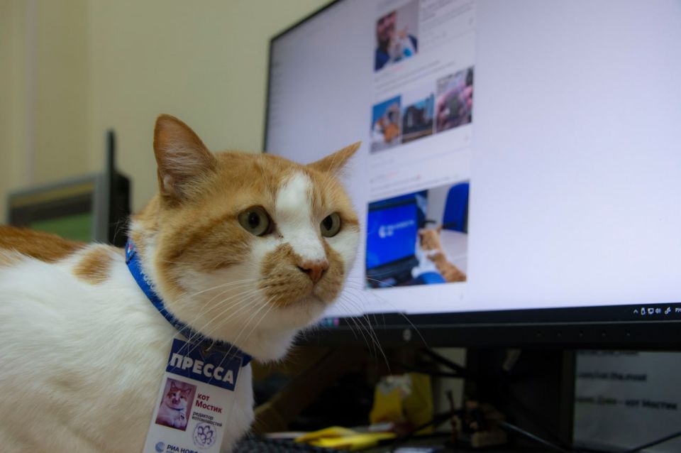 ��� ������: ��������� �������� ������ �������� �� ���� ������ ����������� ������� ���������� � ��������