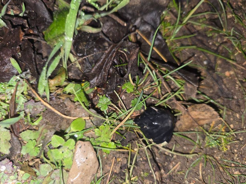 � ���������� ����� 23 ������ � ����������