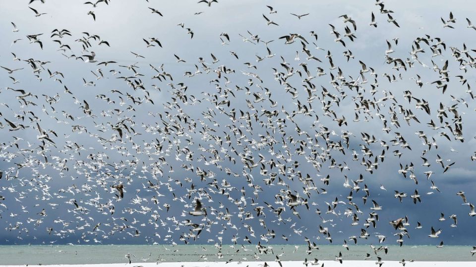 В субботу Крым снова нырнет в зиму