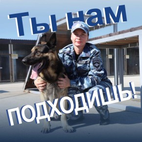 Кинологическая служба УМВД России по г. Севастополю приглашает на работу проводника (вожатого) по уходу за служебными собаками