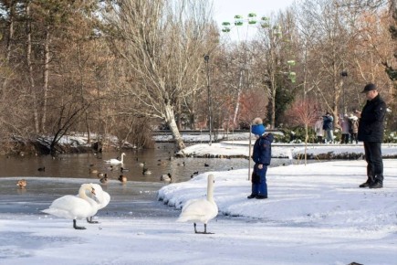 ������ ����!. #�����������