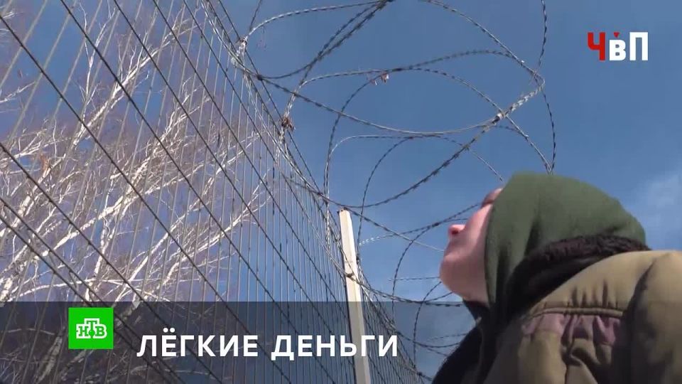 � ������� ��������� � ���� �������� ������������ �����������