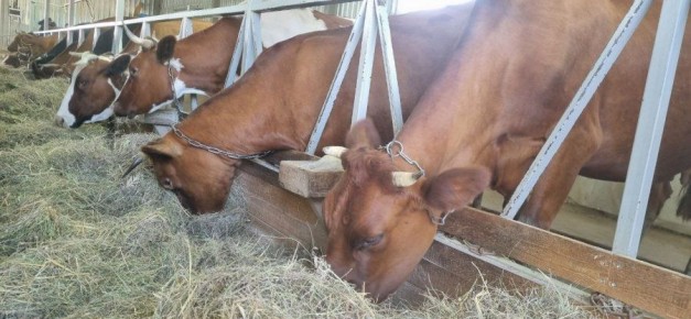 ����� ���� � ��������������: � 2025 ���� � ����������� ��������� ����� 400 ���� ����