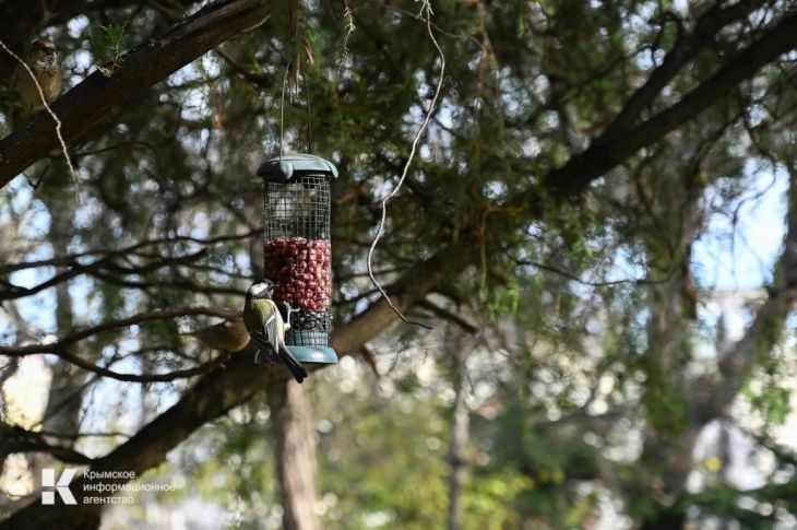 � ���� �� ��� ��� �������� �����: ����� ������ ���������� �� +14