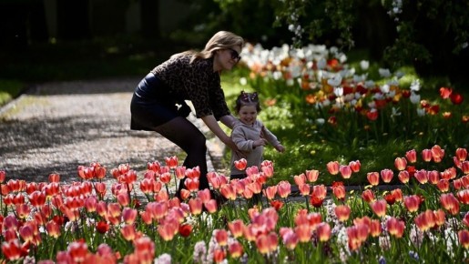 ����� ��������, ����� � ����������� �������� ������ �������� �����