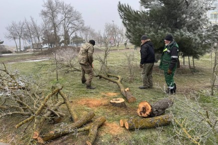 � ����� ������� ������ �� ����������, ������������ � ����� ��������