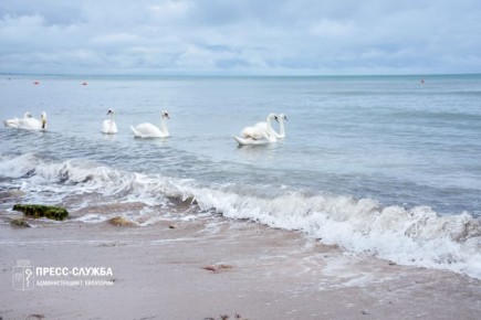 � ����� �������� �����. �� ������ ��������� ���������� �� ����������������� � ����������� ���������� �����, ���� � �� ����� ����� 26 ������, ����� 27 ������ �� ����������� ��������� �������� ����������, ���-���������� �����...