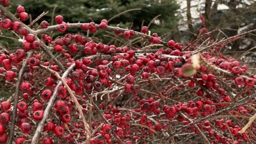 ������ ����, �����������!. #����������� #����