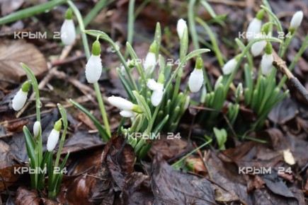 � �������������� ������ ������ ������ ��� ������� �������������