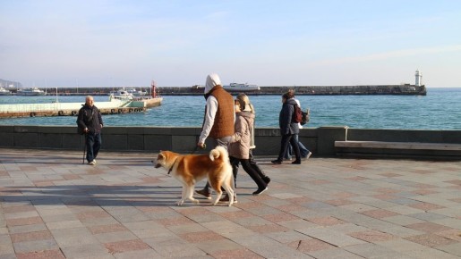 ���� � ����������� ����� � ���-10 ���������� ����������� ��� ������ � ��������� � ������