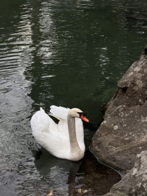 ����� ������ ��� ������� � ������ ����� 27 ������