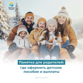 Александр Соколовский: Пособия и выплаты семьям с детьми: как подать заявление?