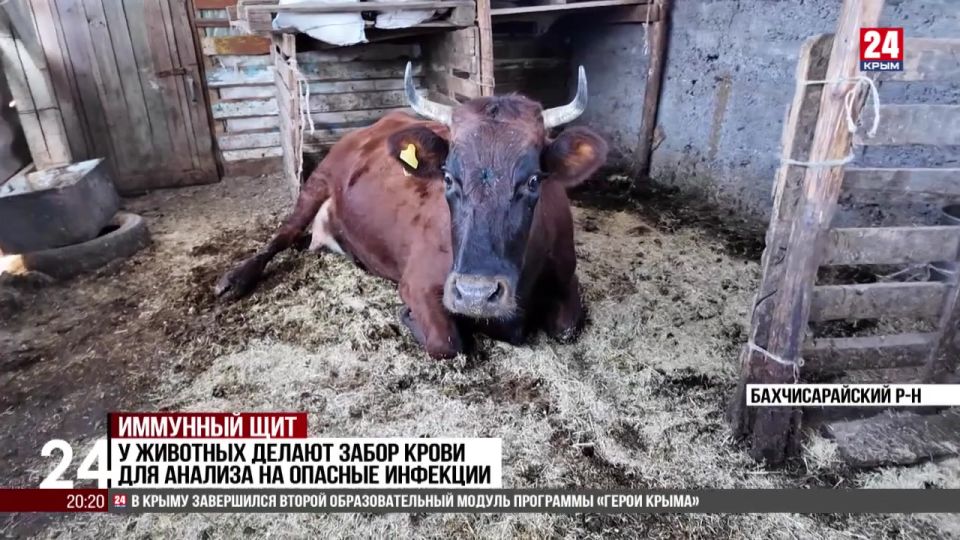 ����������� ����������������� � ������������� ����� �������� �������� ���������� ��������� �����