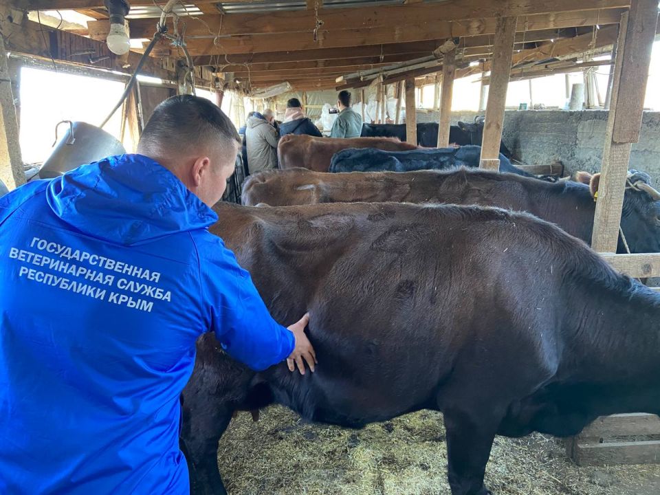 � ����� �������� ���������� �������� �������� � ����