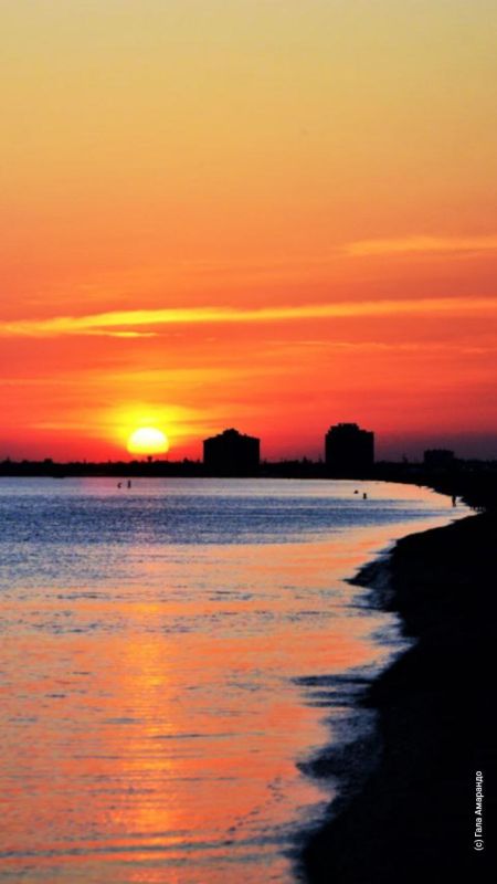 �������������: ���� - ������