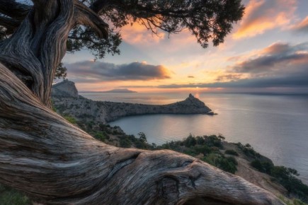 Продолжается онлайн-голосование конкурса фоторабот «Из Крыма с любовью»