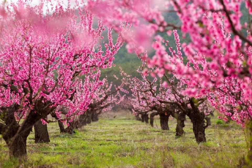 � 2026 ���� �������������� ������������ �������� �������� ���������� ����� ������� � 6 ��� �� ��������� � ������� �����