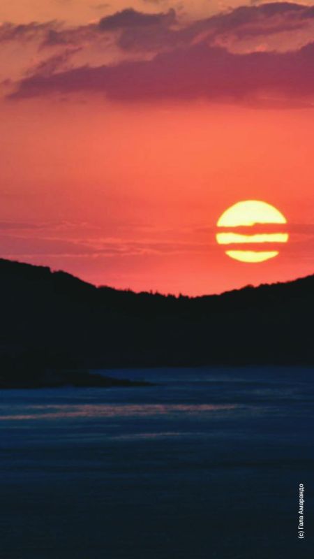 �������������: ���� - ������